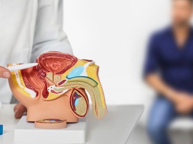 Importancia do Check up Urologico e Prevencao do Cancer de Prostata em Telemaco Borba